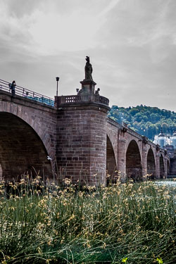 20180819-Heidelberg-67.jpg
