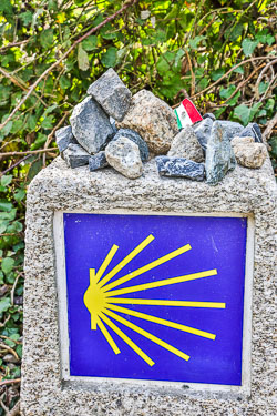 20220930-Camino-de-Santiago-322.jpg