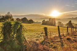 20221001-Camino-14.jpg