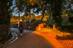 20221001-Camino-4-A.jpg