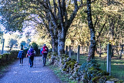 20221001-Camino-97.jpg