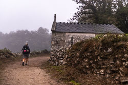20221002-Camino-11.jpg
