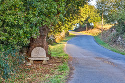 20221002-Camino-135.jpg