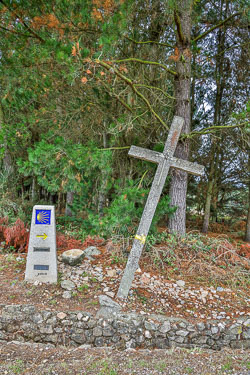 20221002-Camino-246.jpg