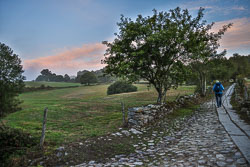 20221002-Camino-46.jpg