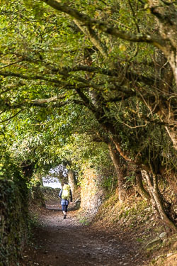 20221002-Camino-63.jpg