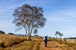 20221003-Camino-105.jpg