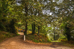 20221003-Camino-28.jpg