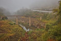 20221003-Camino-4.jpg