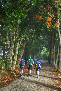 20221003-Camino-48.jpg