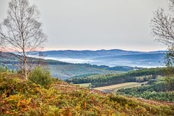 20221004-Camino-18.jpg