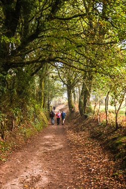 20221005-Camino-40-A.jpg