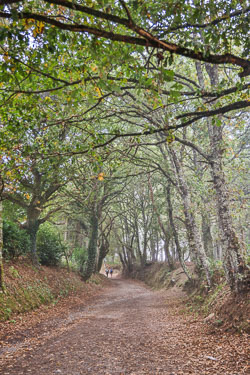 20221005-Camino-76-A.jpg