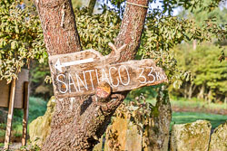 20221007-Camino-64.jpg