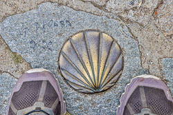 20221009-Camino-108.jpg
