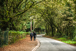 20221009-Camino-16.jpg