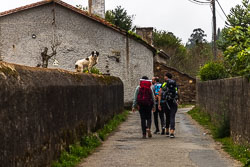 20221009-Camino-5.jpg