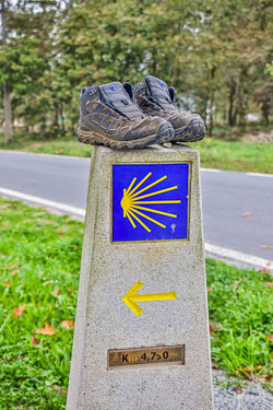 20221009-Camino-76.jpg