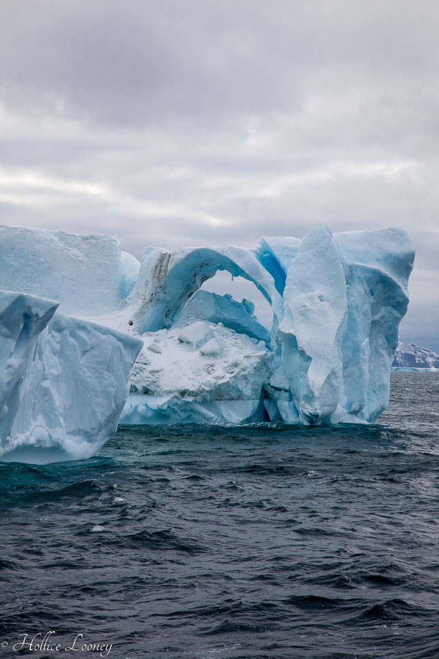 120510-Antarctic-Sound---Weddell-Sea-106.jpg