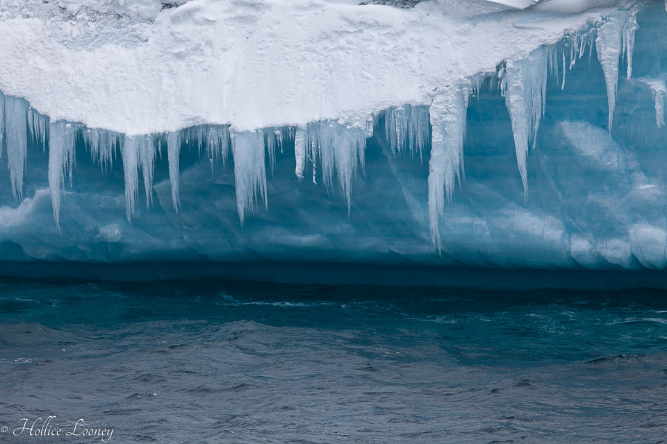 120510-Antarctic-Sound---Weddell-Sea-314.jpg