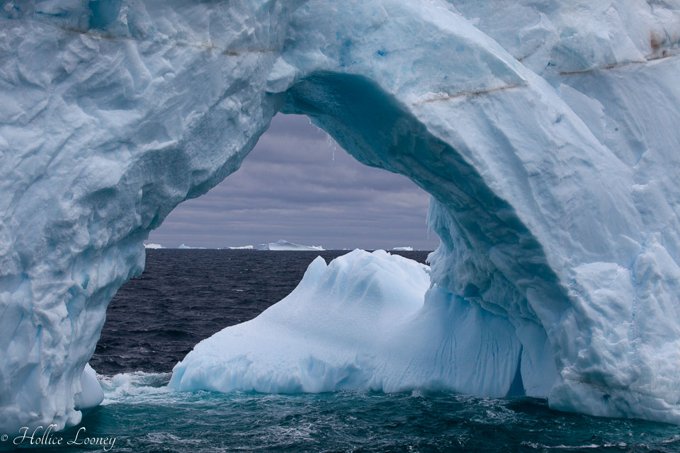 120510-Antarctic-Sound---Weddell-Sea-56.jpg