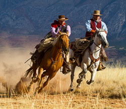 Cowboys of Wyoming