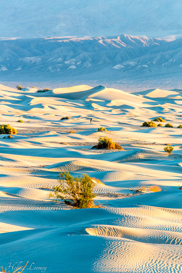 20141019-Sand-Dunes-150.jpg