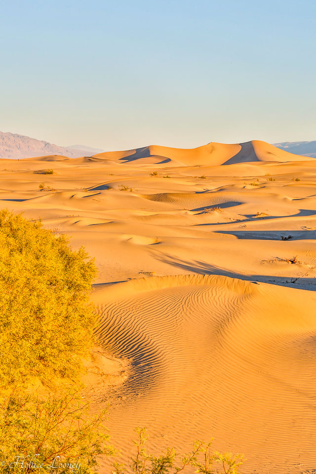 20141019-Sand-Dunes-159.jpg