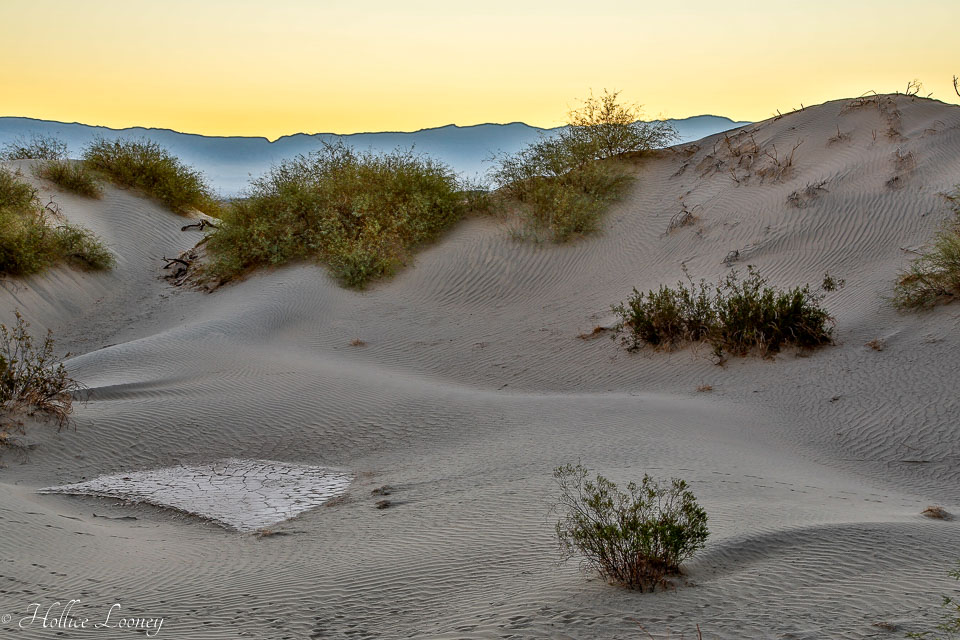20141019-Sand-Dunes-30.jpg