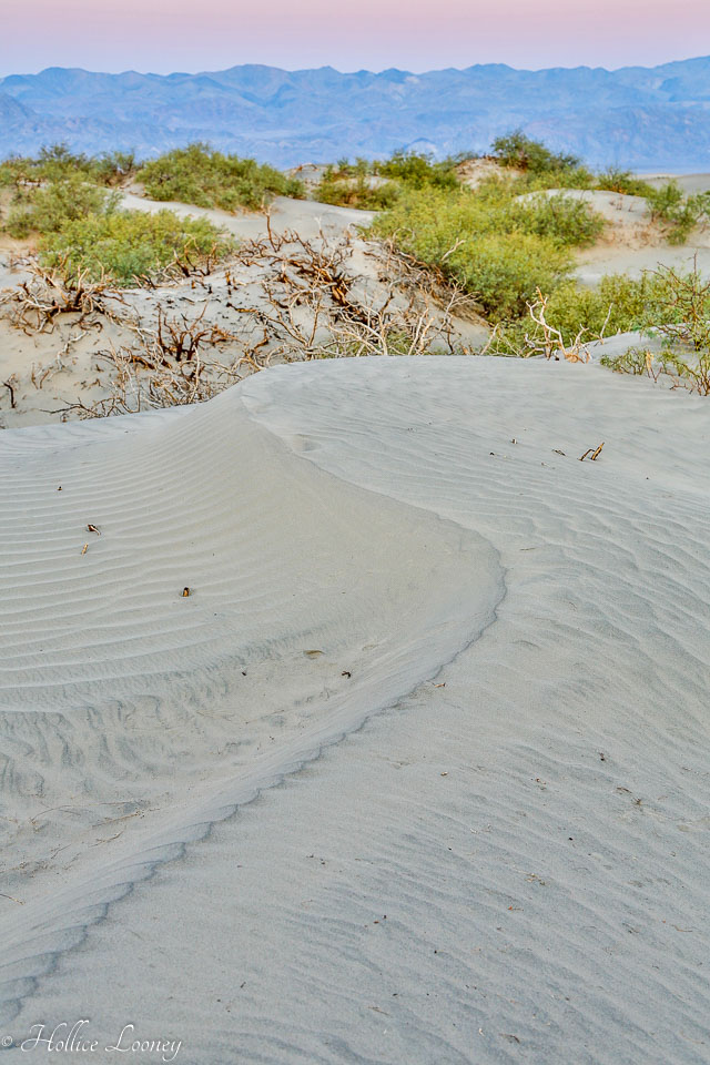 20141019-Sand-Dunes-46.jpg