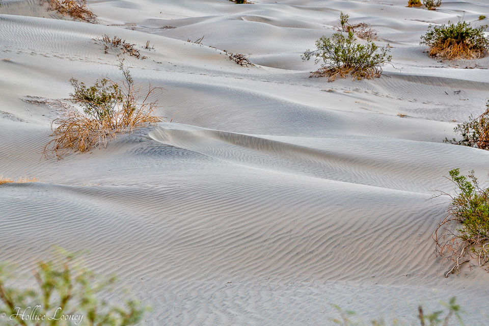 20141019-Sand-Dunes-67.jpg
