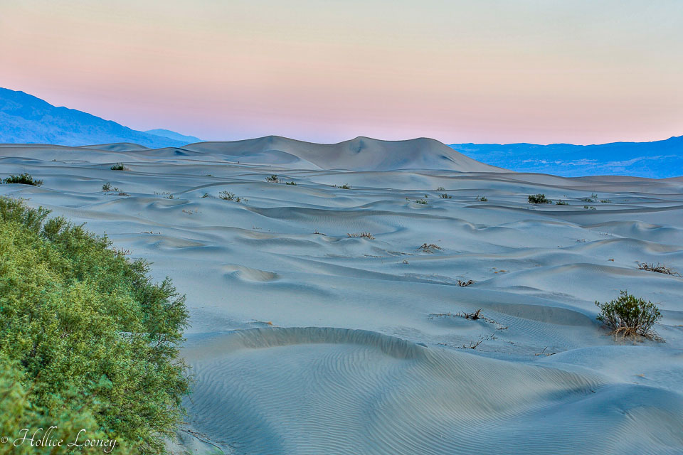 20141019-Sand-Dunes-75.jpg