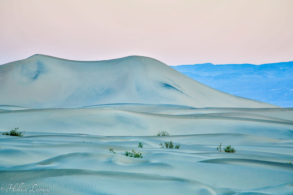 20141019-Sand-Dunes-83.jpg