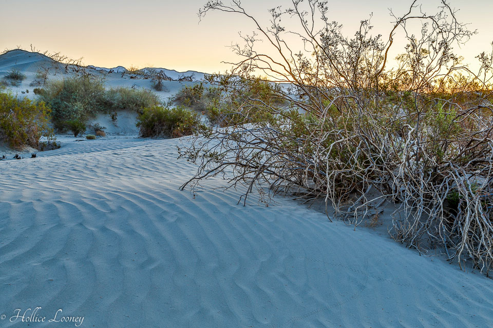 20141019-Sand-Dunes-9.jpg