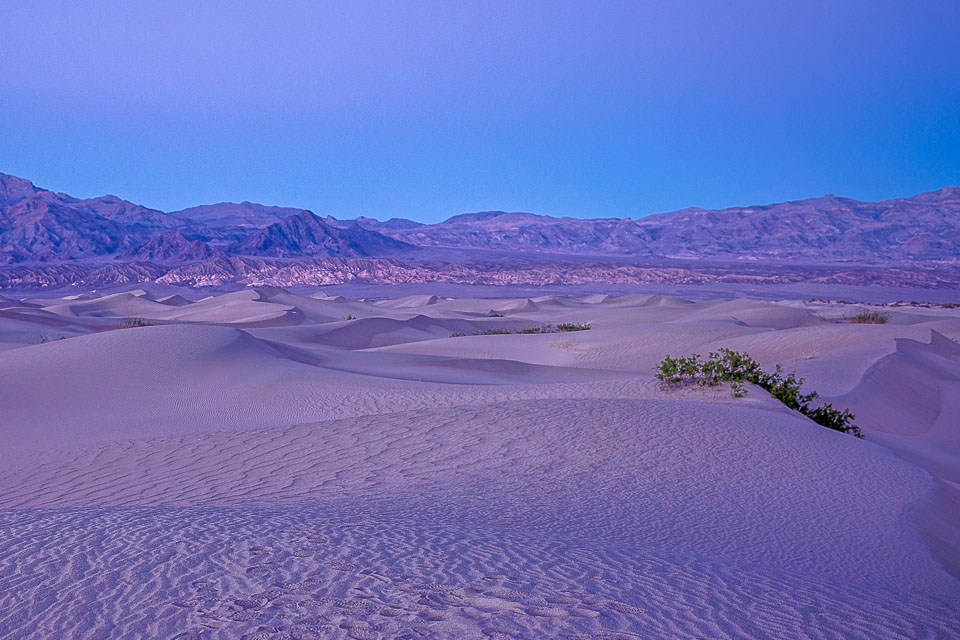 20220217-Death-Valley-72.jpg