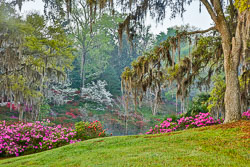 20160330-Charleston-96.jpg