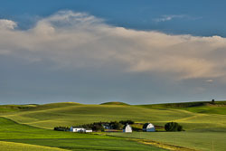 20160625-Palouse-321.jpg